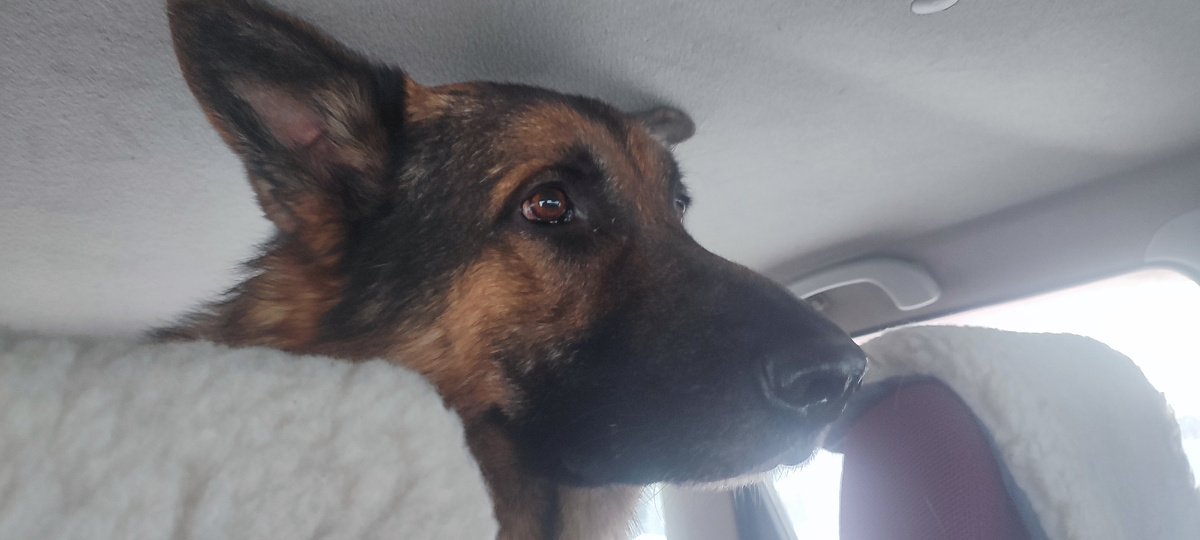 Ой... а куда это мы поехали!? 