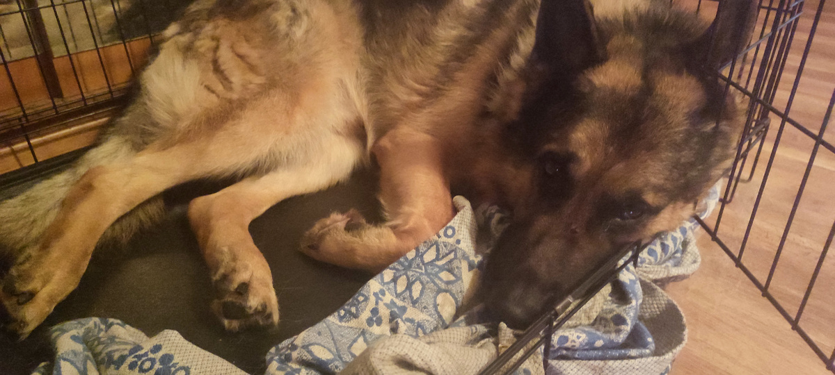 Что-то мне не хорошо... 