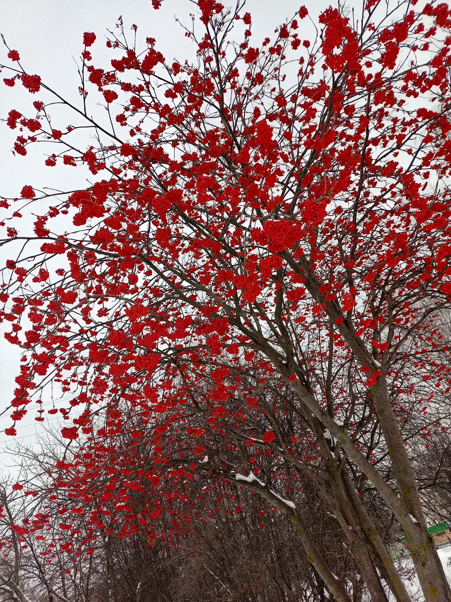 Источник: личное фото