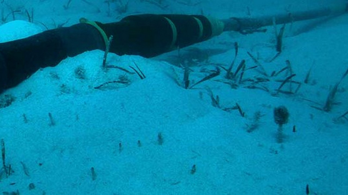 flickr.com/187069197@N05