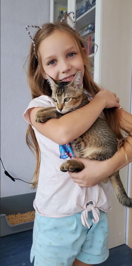 На фото Харлей со своей лучшей и заботливой хозяйкой Варей.