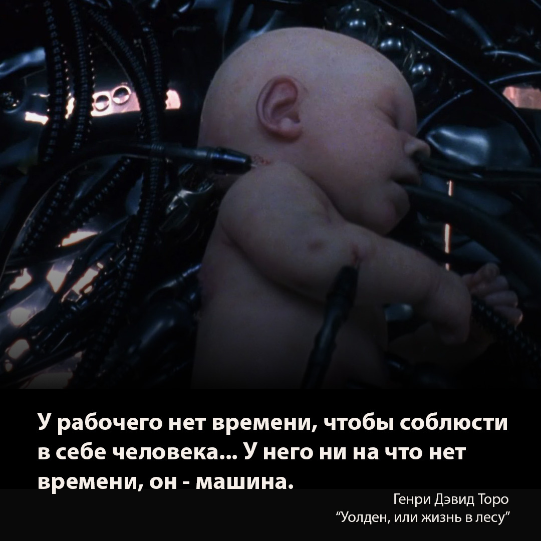 Кадр из "Матрицы".