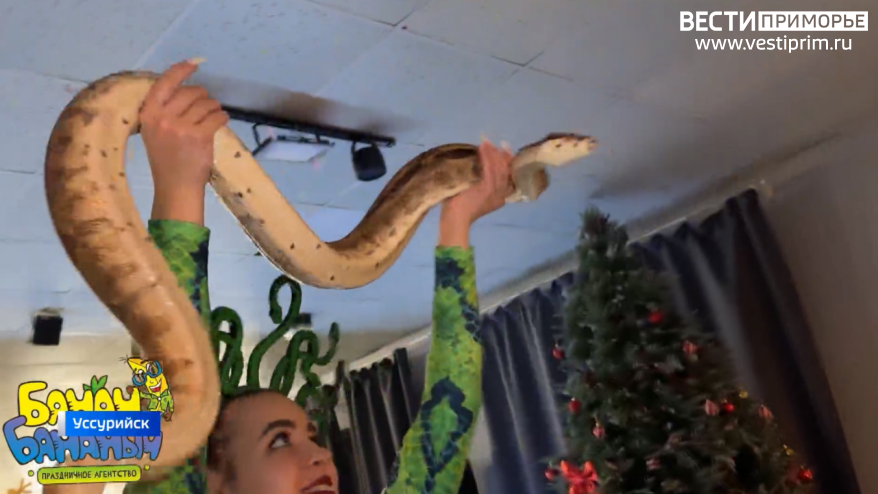    Источник фото: