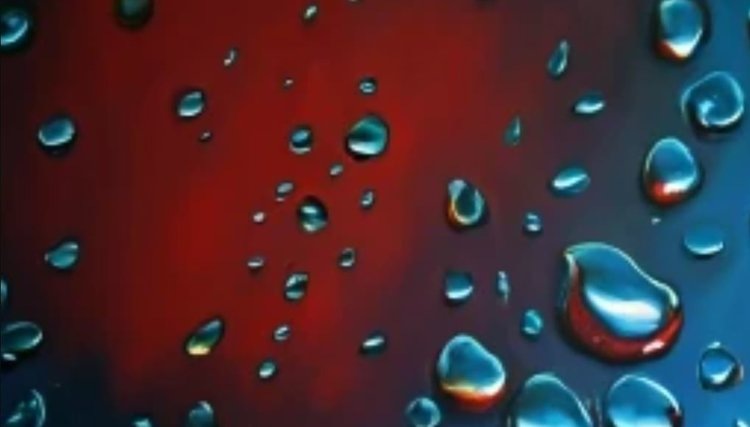    Дело о глифосате возвращается в Европейский суд