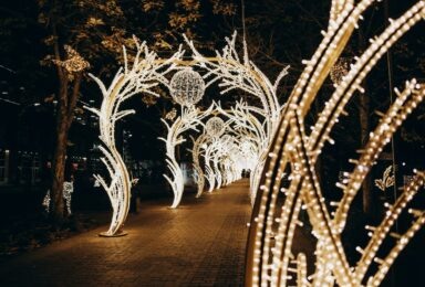 Фото: Варвара Вострокнутова