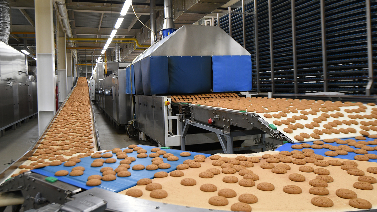 Производство печенья ТМ «ЕРМОЛИНО»