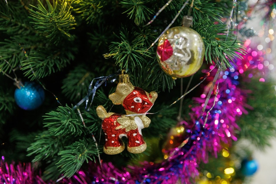    В музее имени Арсеньева во Владивостоке пройдут различные мероприятия. Фото: Музей им. Арсеньева.