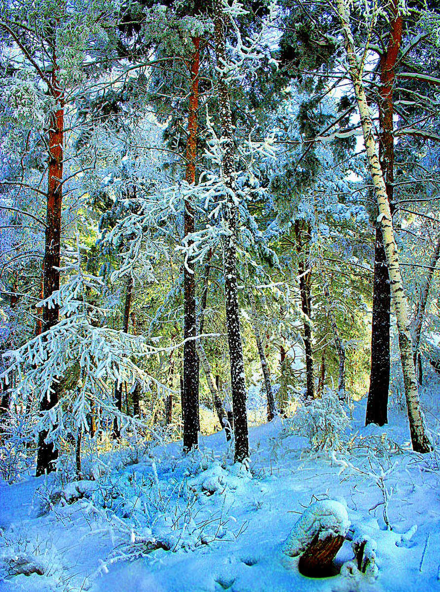 Фотография, стихотворение Василия Глуцкого