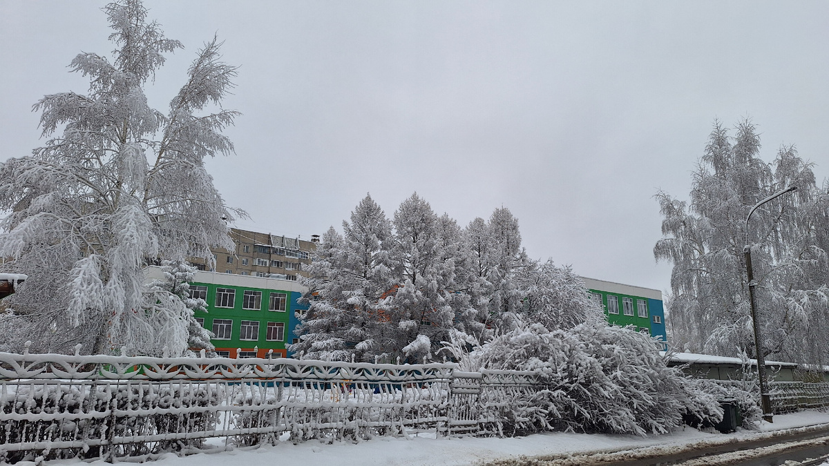 Фото автора. 