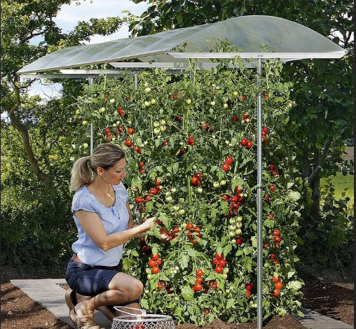 источник:https://i.pinimg.com