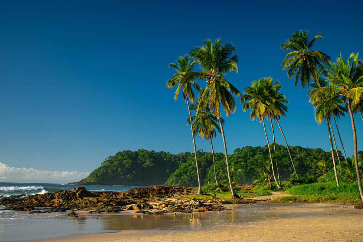 Картинка с бесплатного фотостока https://unsplash.com, автор Matheus Oliveira