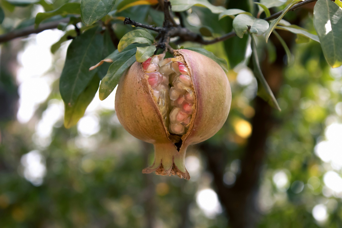 Картинка с бесплатного фотостока https://unsplash.com, автор İlhan Erce Feyizoğlu