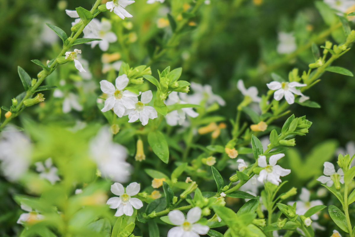 Картинка с бесплатного фотостока https://unsplash.com, автор Mast Shidiq