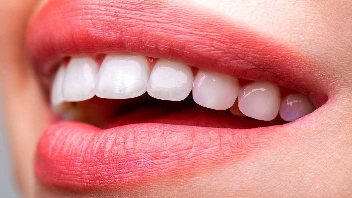    Фото: Shutterstock