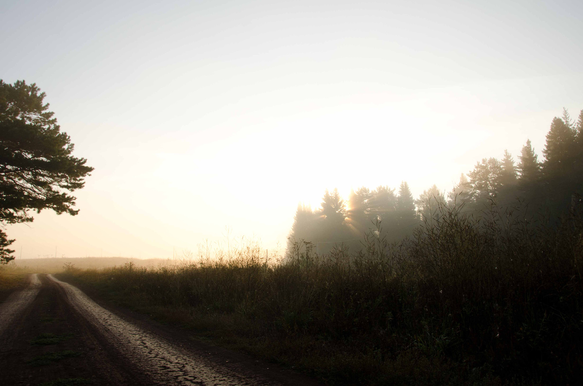 Всё развитие отношений близнецовых пламён условно делят на несколько этапов: первое касание, сепарация, трансформации, единение. Я выделю чуть больше периодов, так как сепарация и трансформации не ограничены отдельным промежутком времени, а происходят ступенчато.