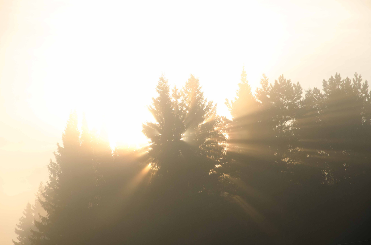 Временно помогло, но потом погода наладилась и в цехе стало жарко, мужчины поснимали куртки и стали работать в футболках. Термин «тощий ботаник» мгновенно отвалился. Мысль-молния: «На такие ручки я бы ножки-то сложила». 