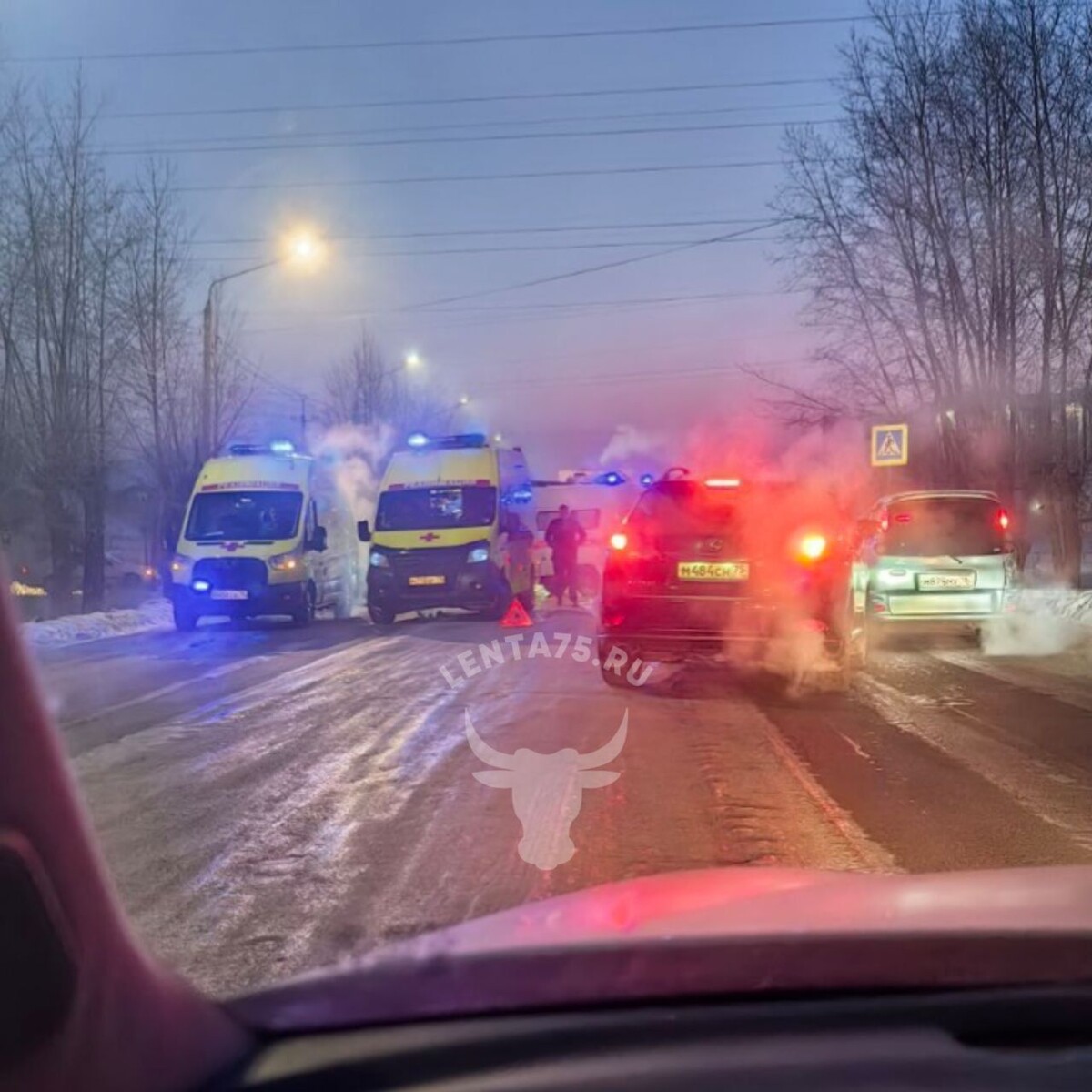    Фото: Очевидец   📷   Фото: Очевидец