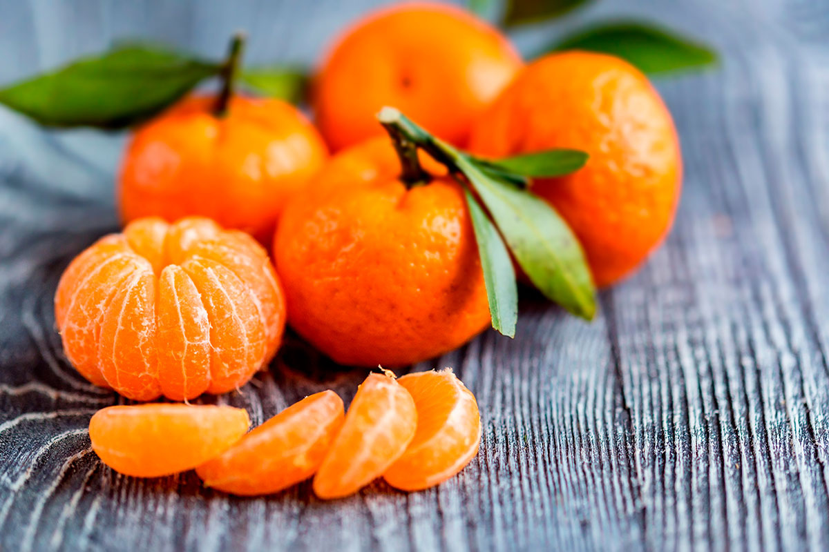    Фото: Yakov Oskanov / Shutterstock.com