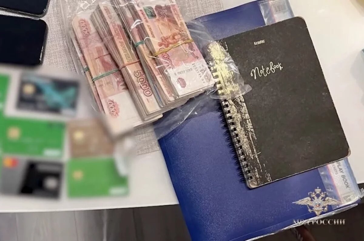    МВД показало задержание подпольных банкиров, обналичивших 2,5 млрд рублей