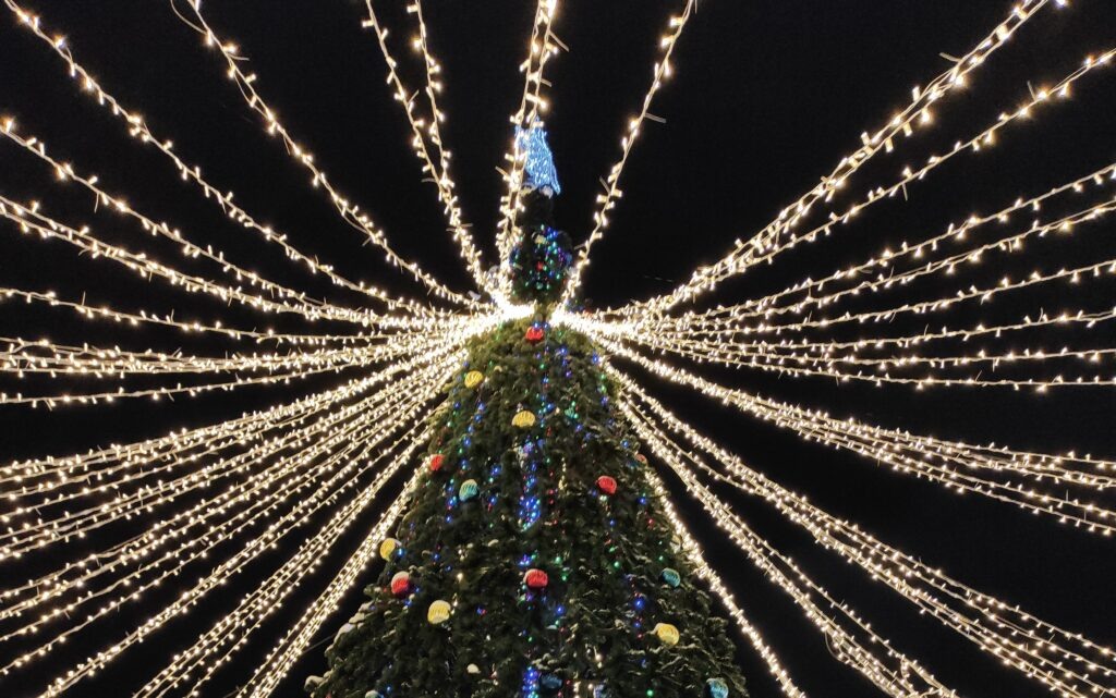    Фото: Екатерина Шафиева для «В курсе.ру» Ольга Гилёва