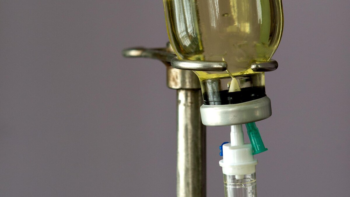    Фото: Nikolay Gyngazov/globallookpress.com