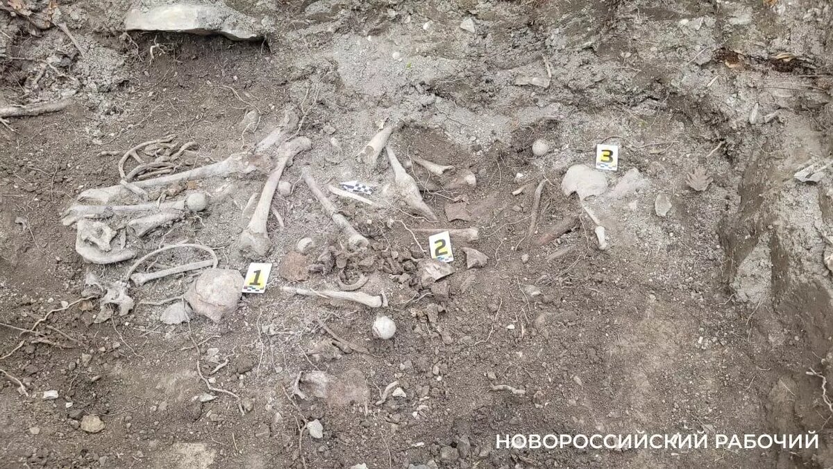     Источник: Новороссийский рабочий