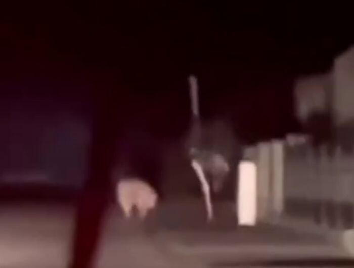 Источник фото: из сети/скриншоты с видео