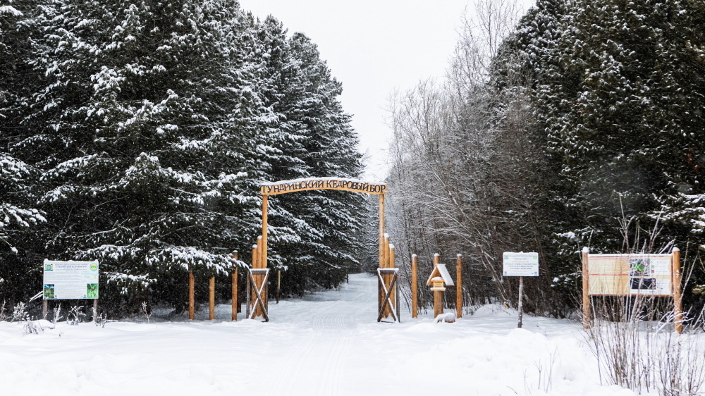    Вблизи деревни Тундрино обустроили экотропу