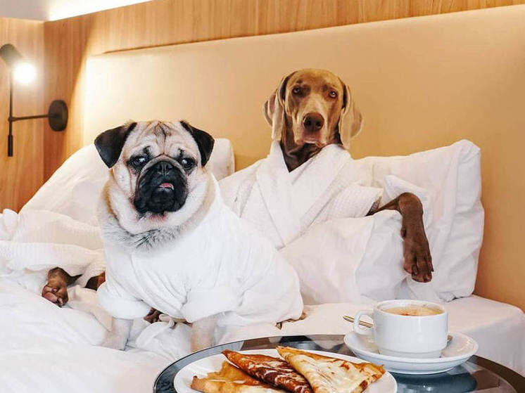     ФОТО: T.ME/KP_RESORT