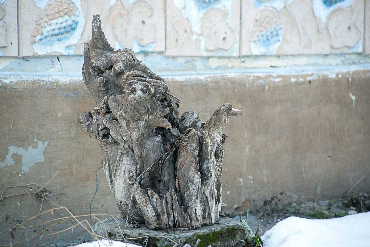 Автор фото Елена Якимова / Greenfingers