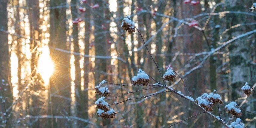    Алена Бобрович