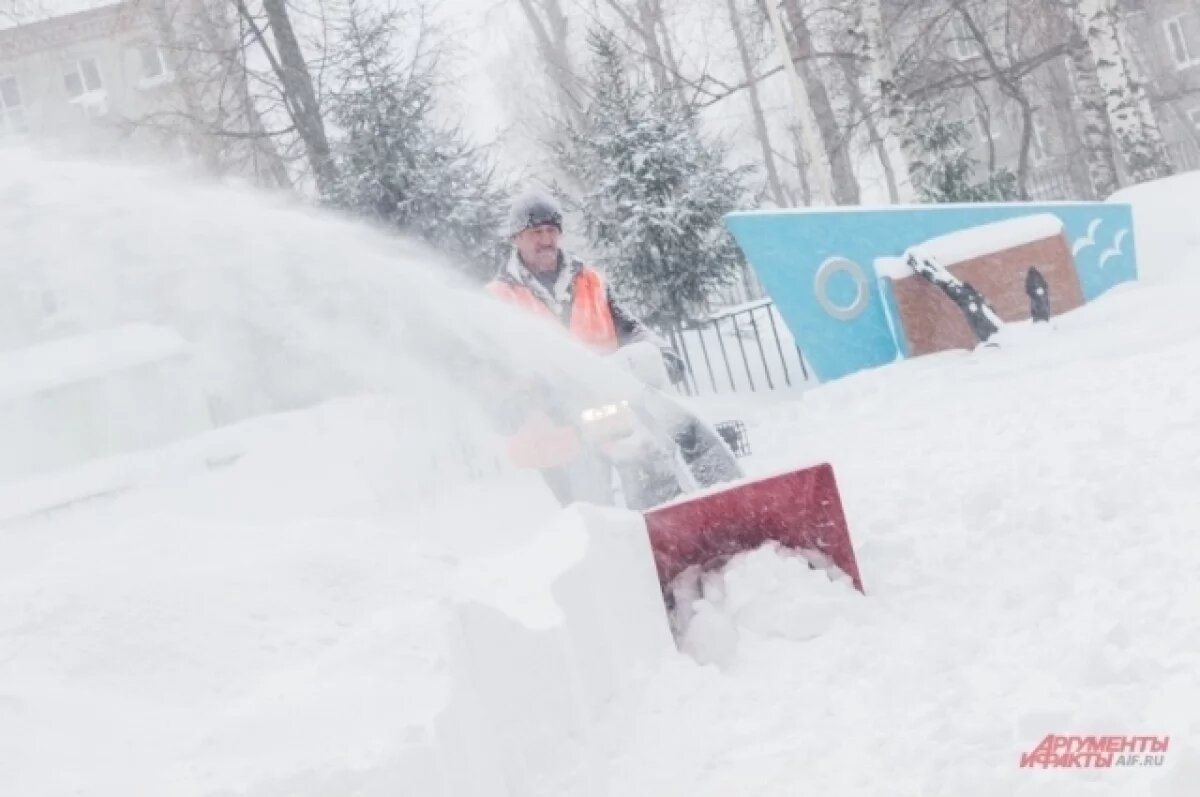    В Омске не хватает дворников, врачей и поваров