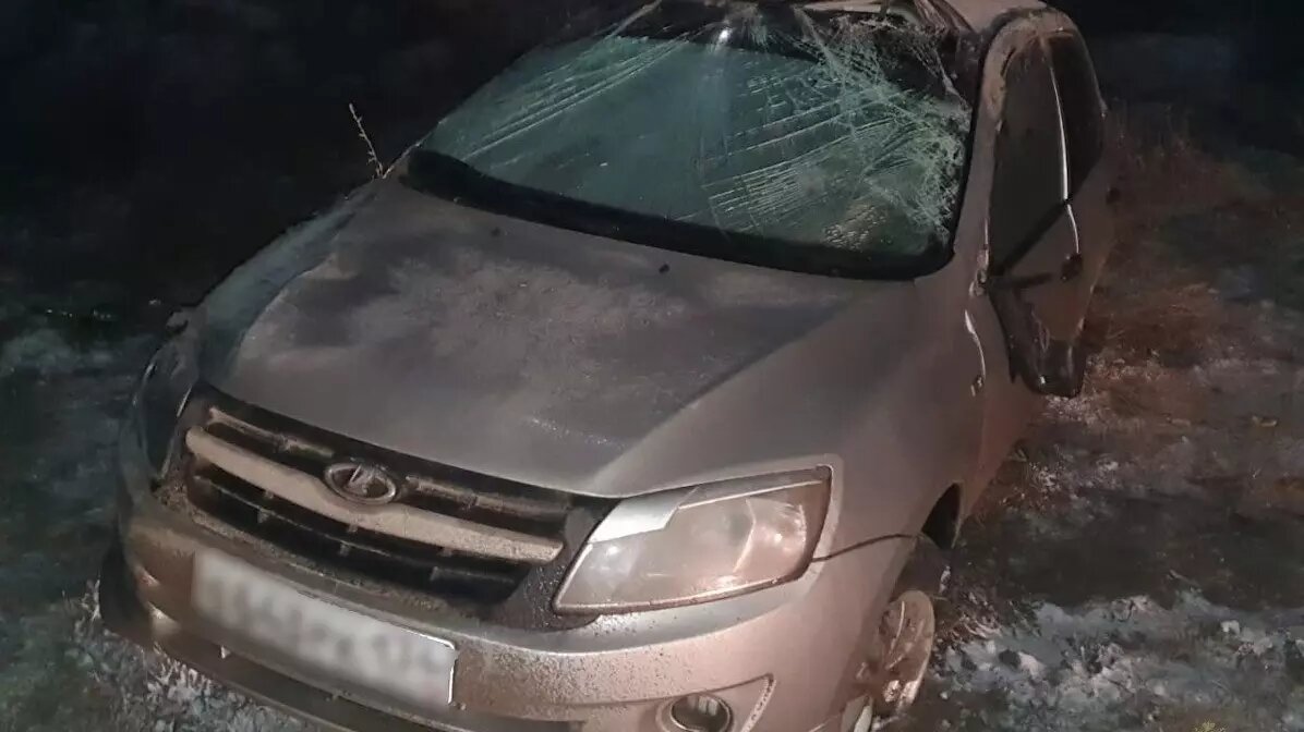     Источник: ГУ МВД по Волгоградской области