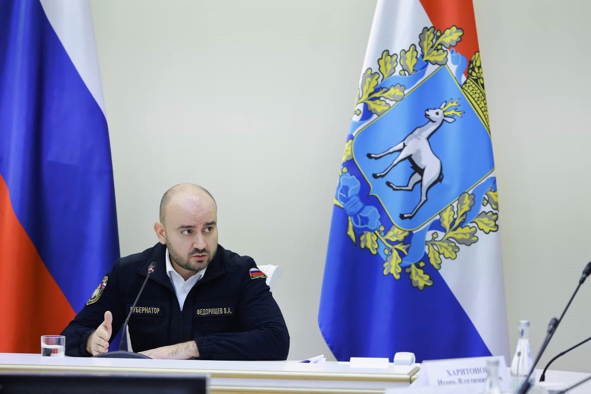 Губернатор намерен подключить к решению проблемы правоохранительные органы.  Фото: Пресс-служба правительства Самарской области