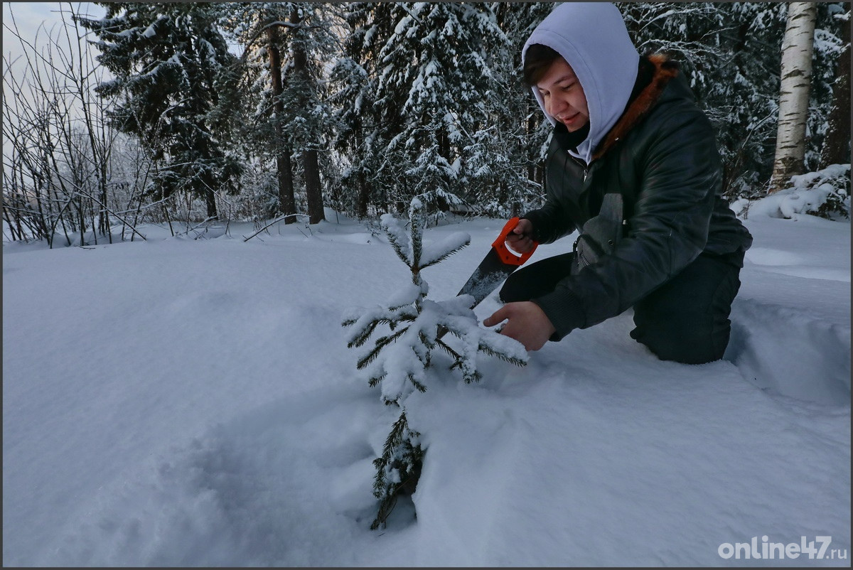 Валентин Илюшин/Online47