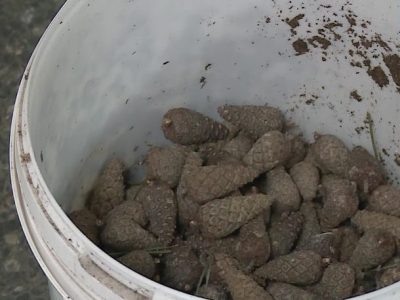    Фото: ГТРК Карелия