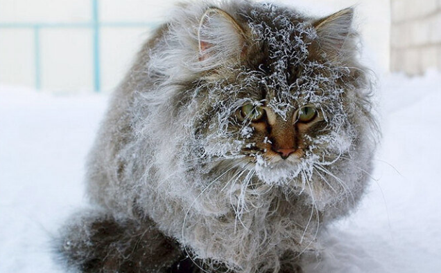 Фото: соцсети 