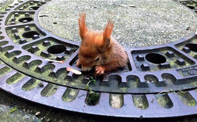 Фото: соцсети 