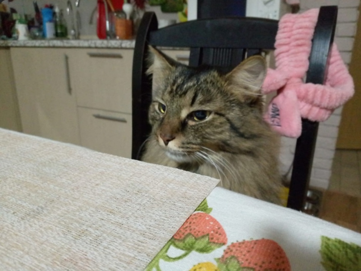 Фото от Алексея.