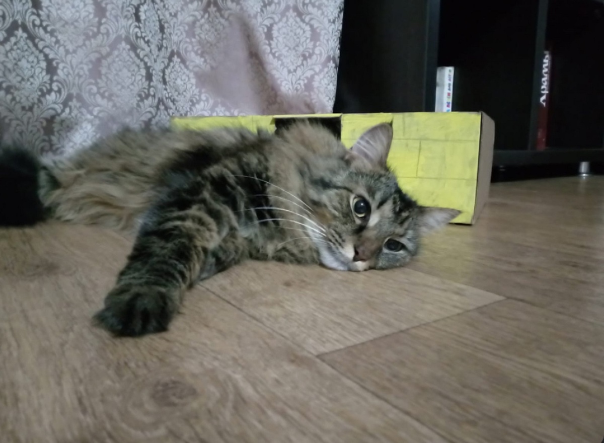 Фото от Алексея.