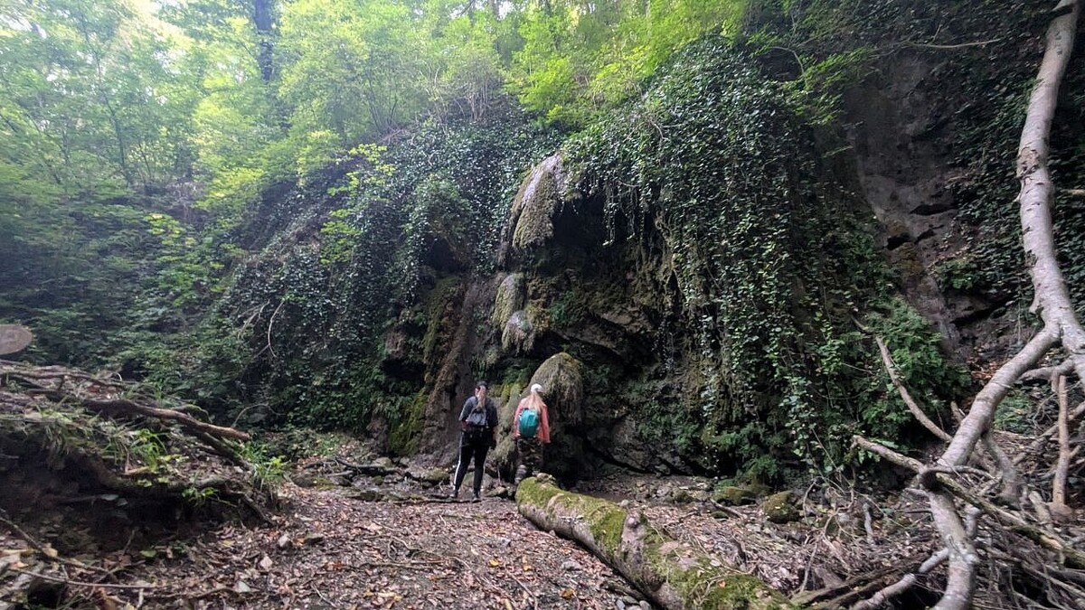    Фото: телеканал «Краснодар»