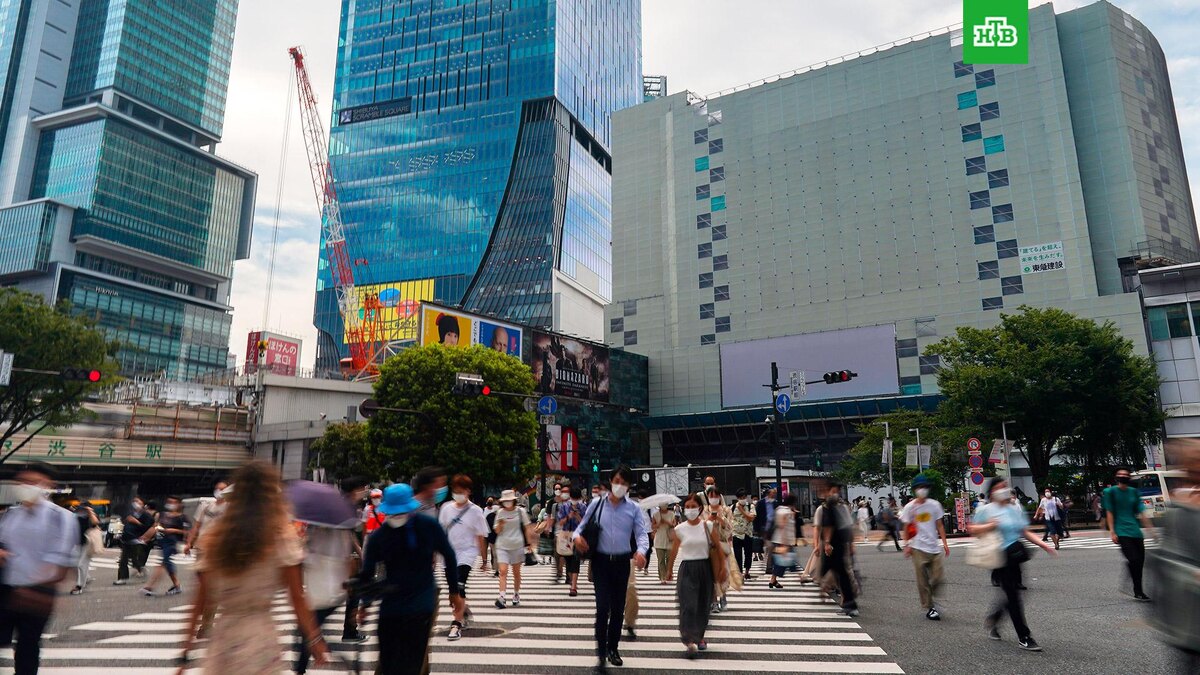    Фото: РИА Новости © 2024, Владимир Песня