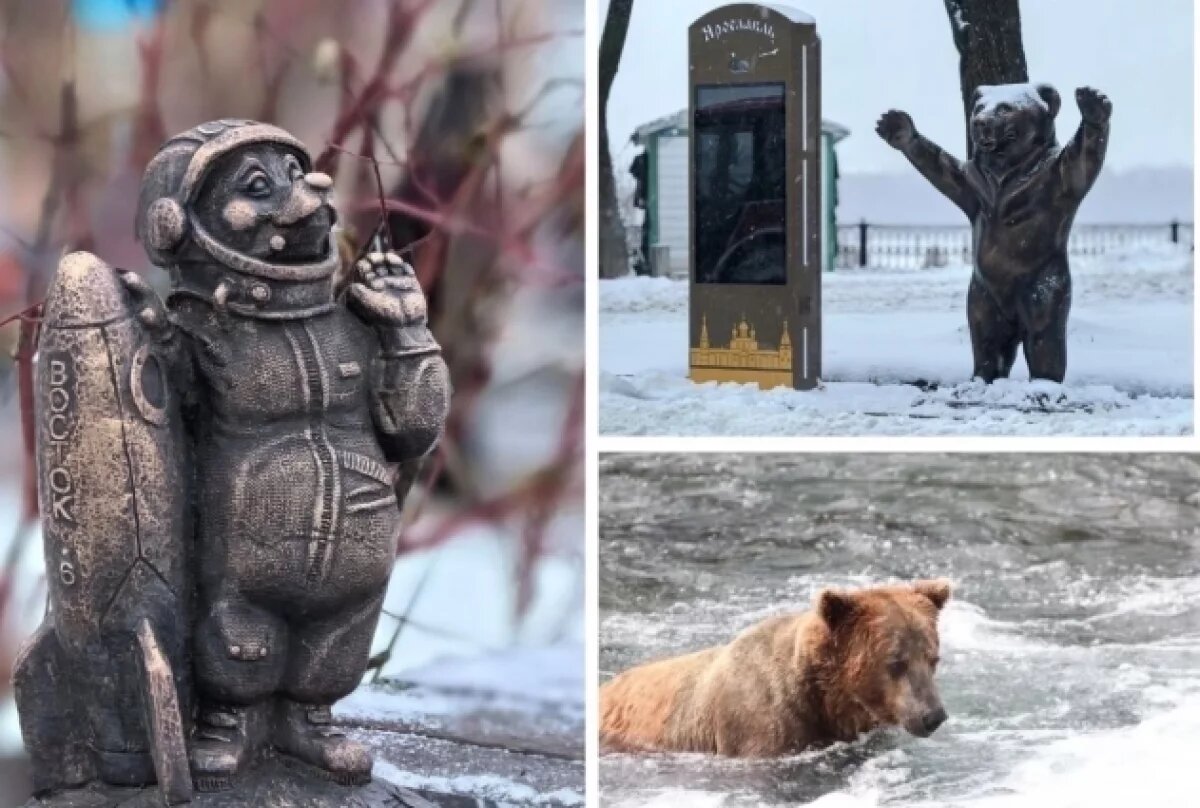    Косолапые знаменитости.