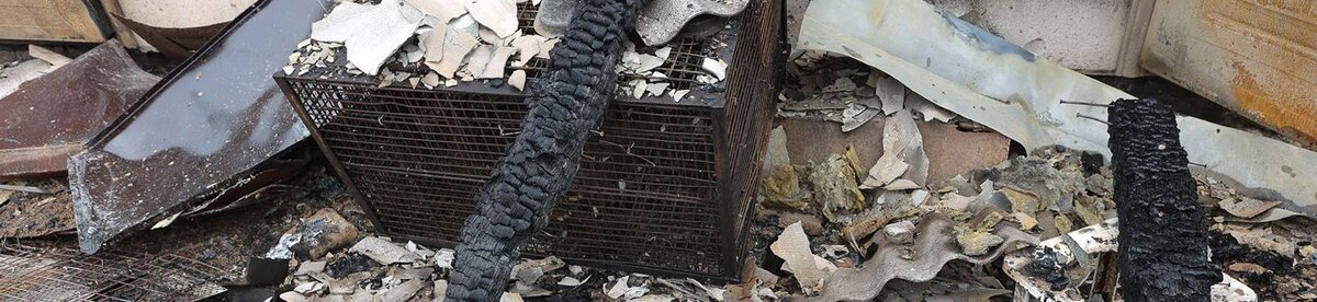    Фото: Антон Вергун