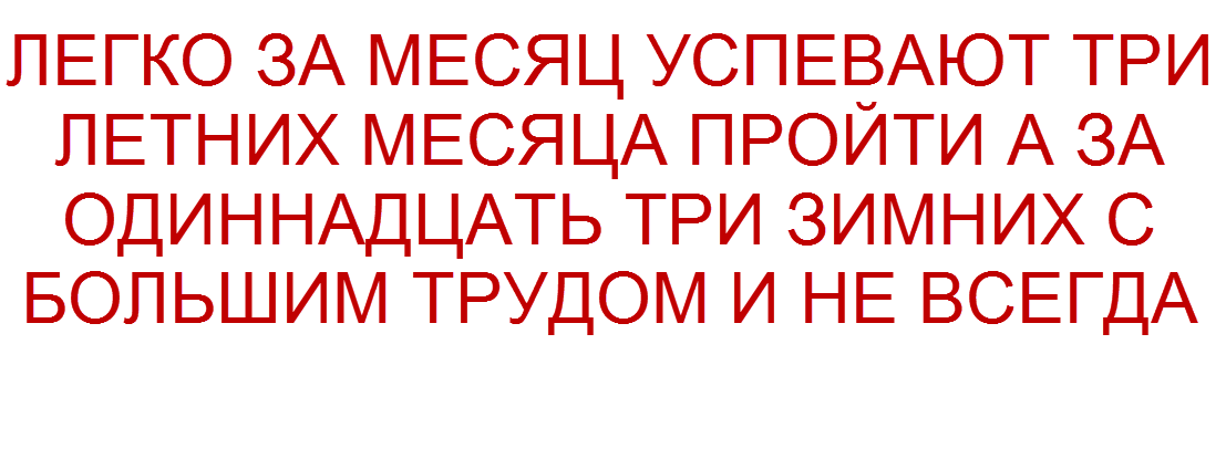 -19