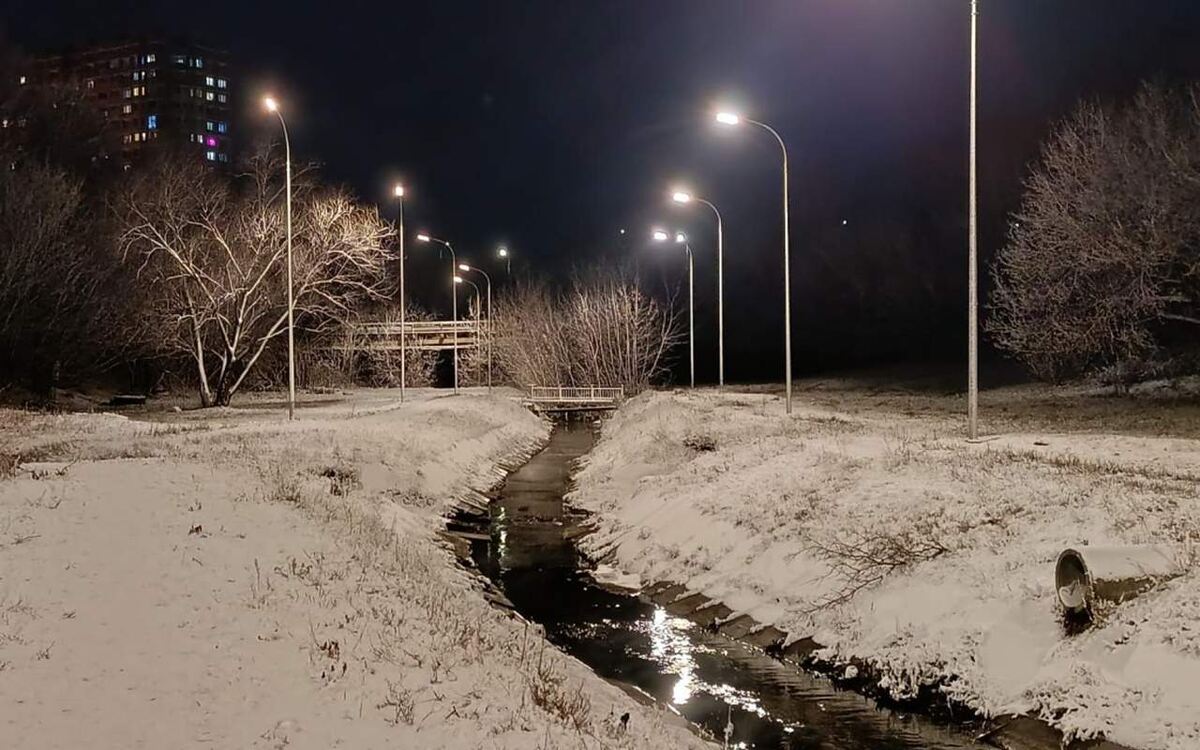    В Спортивном сквере Липецка установили освещение Александр Сухарев