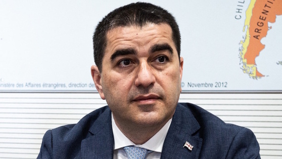    Спикер парламента Грузии заявил, что новый президент не будет подвержен иностранному влиянию Алина Городниченко