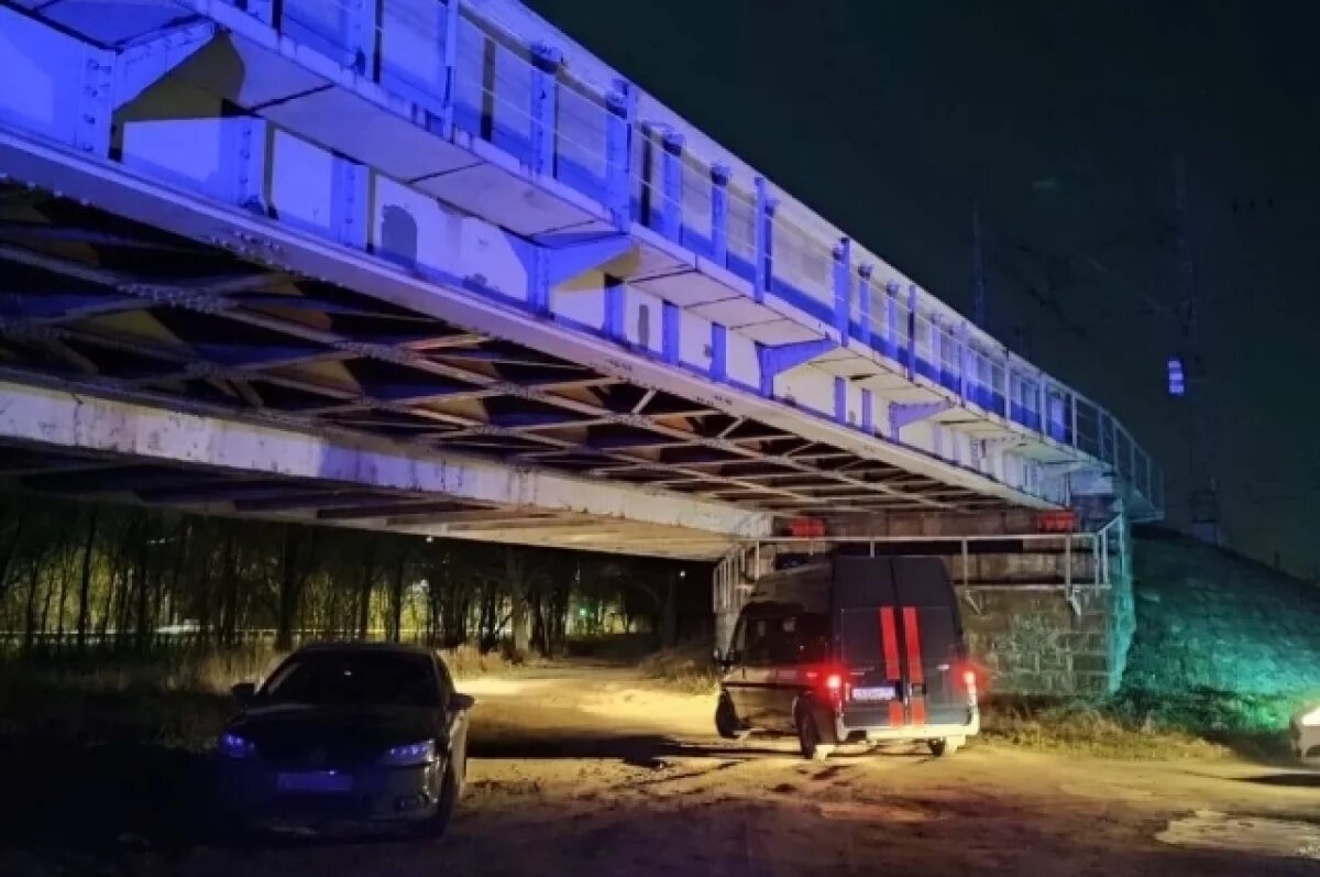    В Павловске поезд насмерть сбил 14-летнего подростка