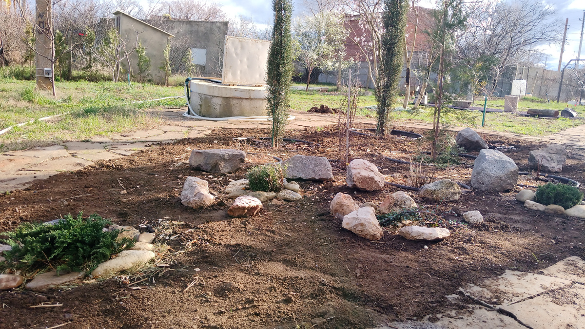 Март 2024 года.