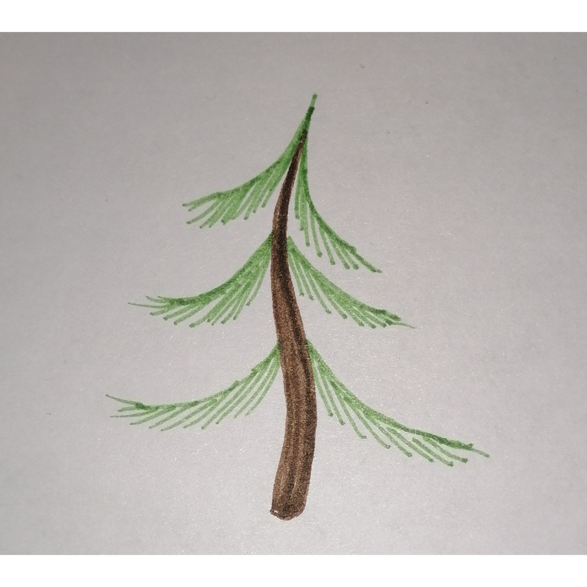 Рисунок автора